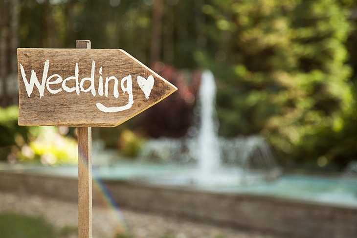 Что нужно, чтобы удачно провести свадьбу на турбазе?